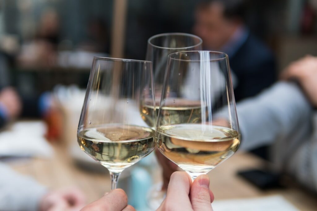 Alles over wijn: van druif tot glas en hoe je er het meeste uit haalt
