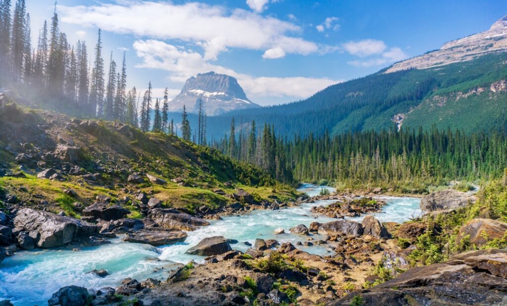 Surinaamse natuur: een van de rijkste wildergebieden ter wereld